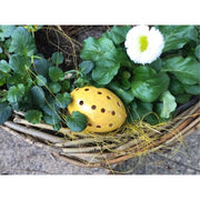 Pebaro 0354, Set pentru decorat oua, include culori si alte accesorii