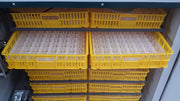Incubator industrial automat UNITEH 2112