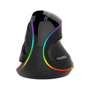Cumpara acum Delux M618Plus 4000DPI RGB Mouse vertical de la Mesterul Minune