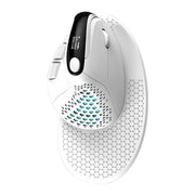 Cumpara acum Mouse vertical fără fir Delux M618XSD BT+2.4G RGB (alb) de la Mesterul Minune