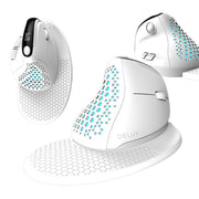 Cumpara acum Mouse vertical fără fir Delux M618XSD BT+2.4G RGB (alb) de la Mesterul Minune