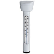 Termometru standard Intex pentru piscine 29039