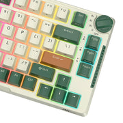 Cumpara acum Royal Kludge RKH81 RGB Tastatura mecanică fără fir, comutator Sky cyan (verde) de la Mesterul Minune
