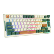 Cumpara acum Royal Kludge RKH81 RGB Tastatura mecanică fără fir, comutator Sky cyan (verde) de la Mesterul Minune