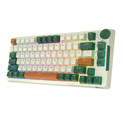 Cumpara acum Royal Kludge RKH81 RGB Tastatura mecanică fără fir, comutator Sky cyan (verde) de la Mesterul Minune