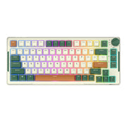 Cumpara acum Royal Kludge RKH81 RGB Tastatura mecanică fără fir, comutator Sky cyan (verde) de la Mesterul Minune
