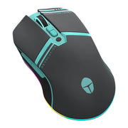 Cumpara acum Mouse de gaming wireless Thunderobot ML503 (negru) de la Mesterul Minune