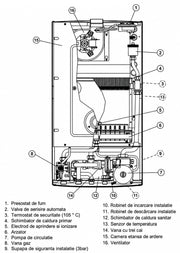 Centrala termica pe gaz conventionala Arca Pixel 29 F, 29 kW, kit