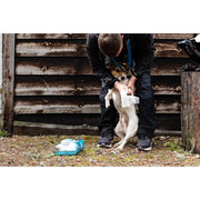 Servetele umede UltraGrime Pet Clothwipes, 38 cm x 25 cm, 80 de bucati