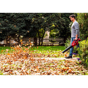 SKIL 0380 CA, suflanta gradina, 40V, 850mc/h, doar corpul