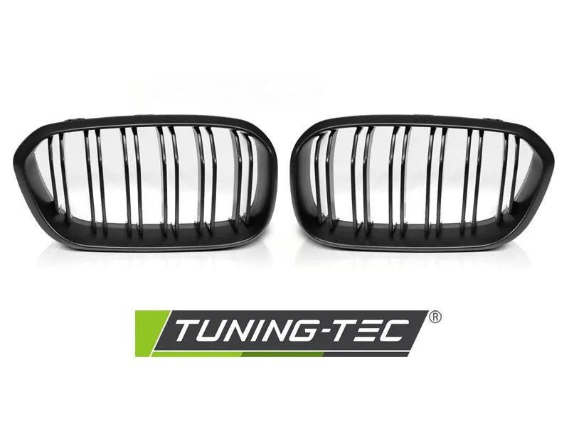Grila capota pentru BMW F20 F21 15-18 Tuning-Tec - GRBM98