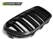 Grila capota pentru BMW F20 F21 15-18 Tuning-Tec - GRBM98
