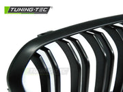 Grila capota pentru BMW F20 F21 15-18 Tuning-Tec - GRBM98