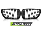 Grila pentru BMW F22 / F23 Tip M2 Tuning-Tec - GRBM84