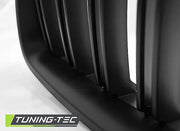 Grila pentru BMW F30 BMW F31 2011-10- Tuning-Tec - GRBM50