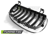 Grila pentru Bmw E87/81 04-07 Tuning-Tec - GRBM38