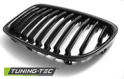 Grila radiator BMW X1 E84 10.2009-08.2012 Tuning-Tec - GRBM61