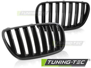 Grila radiator pentru BMW X3 E83 06-10 Tuning-Tec - GRBMB4