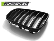 Grila radiator pentru BMW X3 F25 10-07.14 Tuning-Tec - GRBMB5
