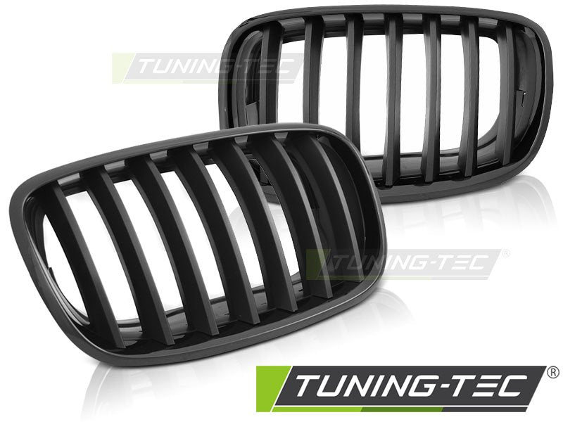 Grila radiator pentru BMW X5 E70, X6 E71 Tuning-Tec - GRBMC1