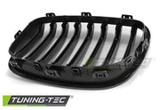 Grila radiator pentru Bmw F20 11-12.14 Tuning-Tec - GRBM78