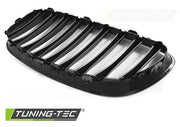 Grila radiator pentru Bmw Z4 (E89) 09- Tuning-Tec - GRBM41