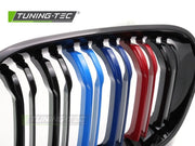 Grile BLACK TRI-COLOUR DOUBLE BAR pentru BMW F20 / F21 11-14 - GRBMG0