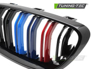 Grile BLACK TRI-COLOUR DOUBLE BAR pentru BMW F22 / F23 13-21 - GRBMH0