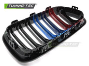 Grile GLOSSY BLACK TRI-COLOUR DOUBLE BAR pentru BMW F20 / F21 LCI - GRBMG5