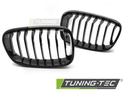 Grile GLOSSY BLACK pentru BMW F20 / F21 11-14 - GRBMG1