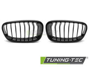 Grile GLOSSY BLACK pentru BMW F20 / F21 11-14 - GRBMG1