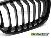 Grile GLOSSY BLACK pentru BMW F20 / F21 11-14 - GRBMG1