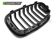 Grile GLOSSY BLACK pentru BMW F20 / F21 11-14 - GRBMG1