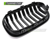 Grile GLOSSY BLACK pentru BMW F20 / F21 LCI 15-18 - GRBMG6