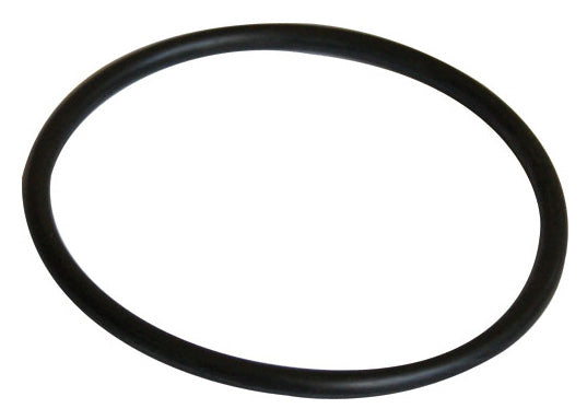 Inel, o-ring flansa adaptor pompa Pentair Swimmey R111P1070