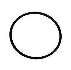 Inel, o-ring flansa garnitura capac pompa Pentair Swimmey R702208