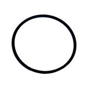 Inel, o-ring flansa garnitura capac pompa Pentair Swimmey R702208