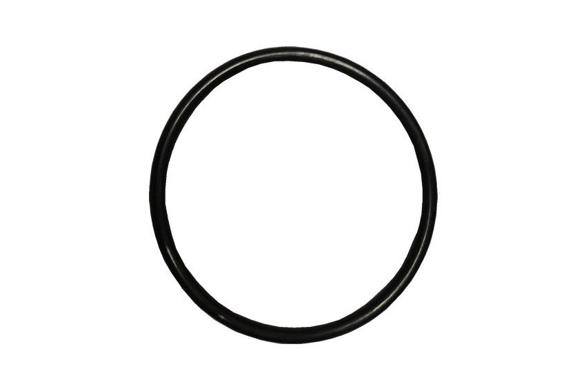 Inel, o-ring flansa garnitura pompa Pentair Swimmey SW24, SW28, SW33 R702218