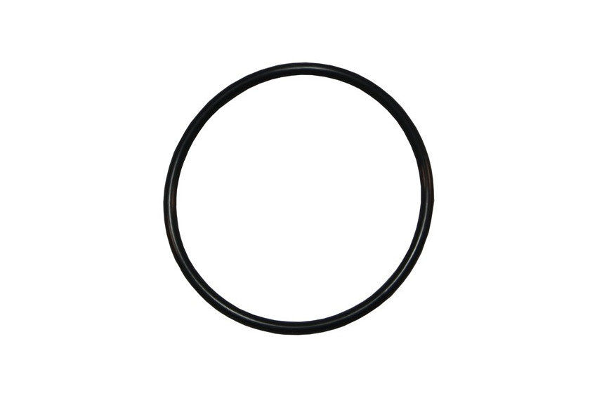 Inel, o-ring flansa pompa Pentair Sta-Rite 5P6R/5MPR RU9374