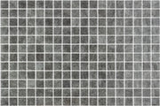 Mozaic piscine Squamers Genuine GN400