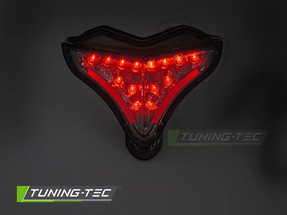 Stopuri LED pentru YAMAHA YZF-R1 09-14 - MLDY05