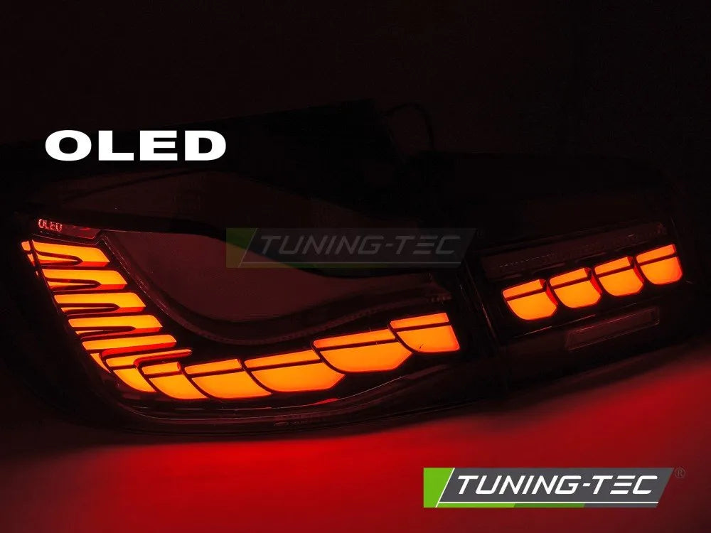 Stopuri OLED SEQ RED pentru BMW F10 10-16 - LDBMK5