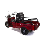 Cumpara Triciclu Electric Cu Remorca Rotakt Nautilus 1600W 25 km/h Autonomie pana la 44 km Baterie plumb-acid 60V 32Ah Greutate maxima 364 kg, Fara permis de la Mesterul Minune