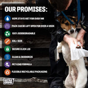 Servetele umede UltraGrime Pet-Care, 38 cm x 25 cm, 40 de bucati biodegradabile