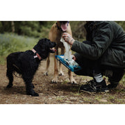 Servetele umede UltraGrime Pet-Care, 38 cm x 25 cm, 40 de bucati biodegradabile