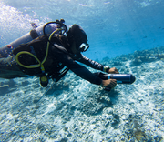 ASIWO U1 sea scooter universal pentru diving, SUP si kayak