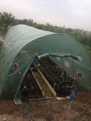 Solar de grădină 8x3x2.5m, polietilenă 240 g/m2, rezistentă la UV, țeavă 26 * 1.2mm