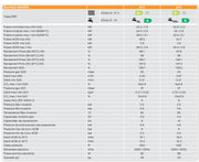 Centrala termica in condensare Ferroli Bluehelix MAXIMA 34C, 34 kW, touch screen 7