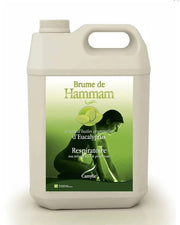 Esenta Camylle pentru bai de aburi cu aroma de eucalipt 5000 ml
