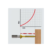 Cumpara acum Bit Torsion profil Phillips, Felo, C6.3, PH3, 25mm, Lichidare de stoc de la Mesterul Minune